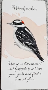 Divine Feather Messenger